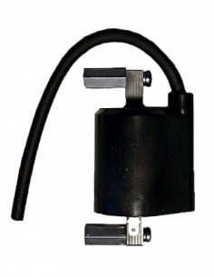 BOBINA SUZUKI LS 650 SAVAGE F6