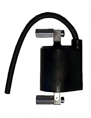 BOBINA SUZUKI LS 650 SAVAGE F6