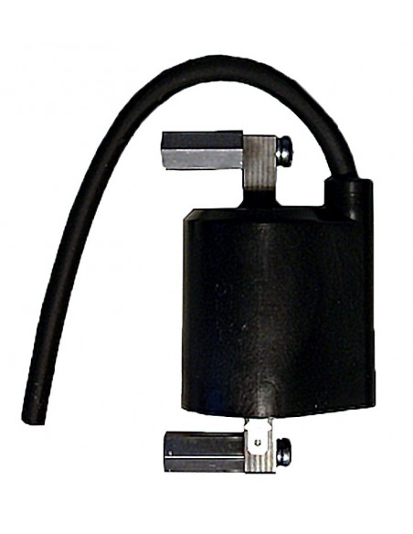 BOBINA SUZUKI LS 650 SAVAGE F6