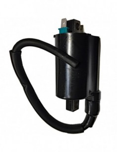 BOBINA KYMCO PEOPLE ONE 12V-CC