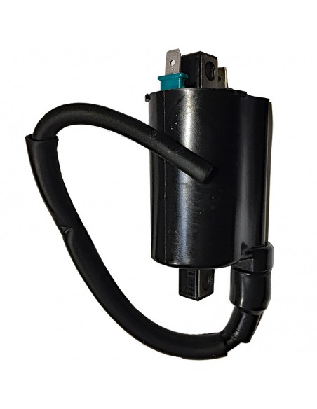 BOBINA KYMCO PEOPLE ONE 12V-CC