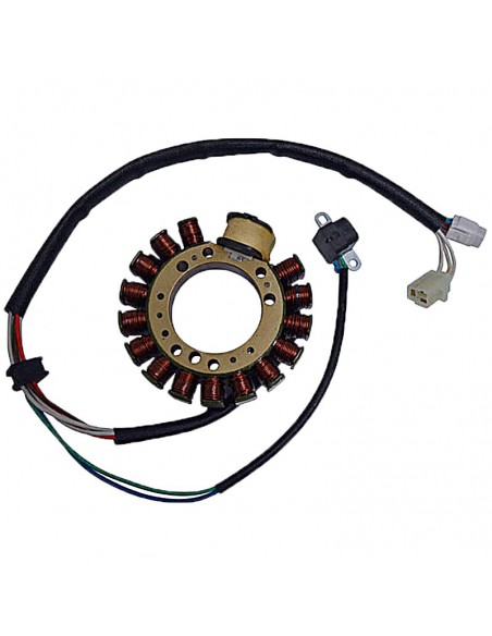 STATOR SGR TRIFASE 18 POLOS CO