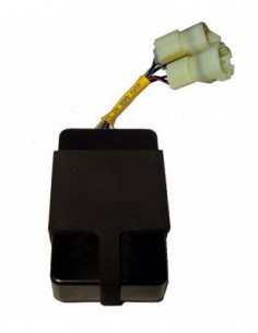 CENTRALITA ELECTRÓNICA CDI DIG