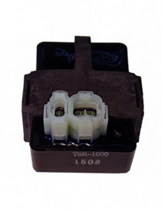 CENTRALITA ELECTRÓNICA CDI DIG