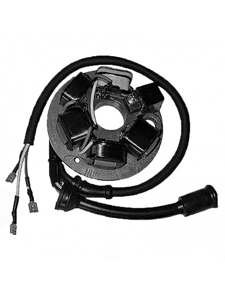 STATOR DUCATI 6 POLOS PIAGGIO