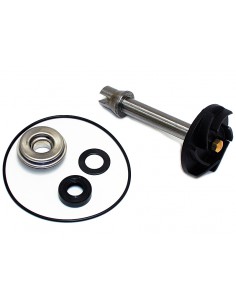 KIT REPARACIÓN BOMBA DE AGUA P